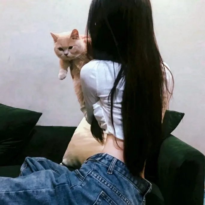 黑色达摩